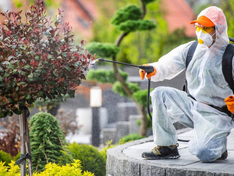 Isparta Haşere İlaçlama